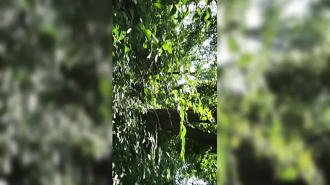 Bj from babygirl in the woods by the river and walking trail outdoors in nature