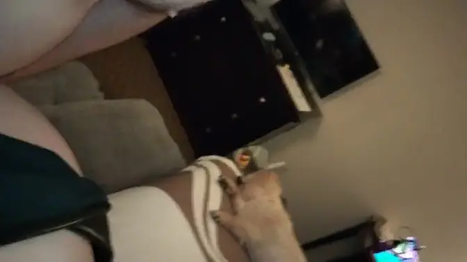 Amateur wife rides big cock in motel room