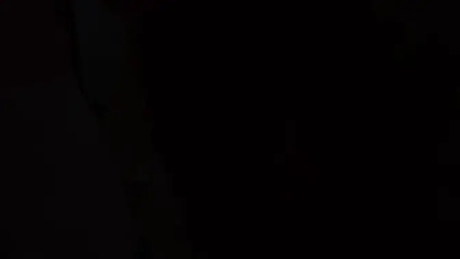 Amateur wife deepthroats and facials two lucky guys