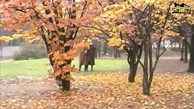 TRADIMENTI ALL'ITALIANA PROMO