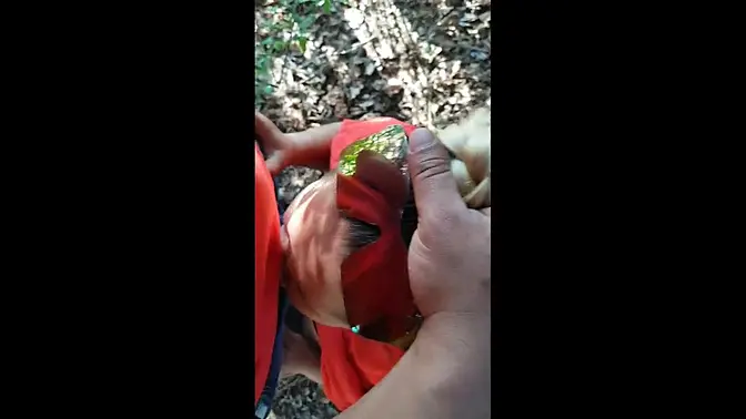 Real amateur Latina couple eating ass and showing natural tits