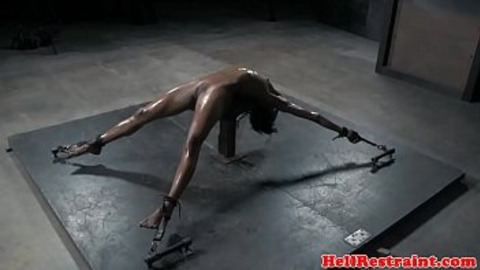Black beauty wailing in ecstasy