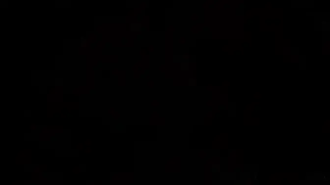 Blonde lady blacked and gang plowed