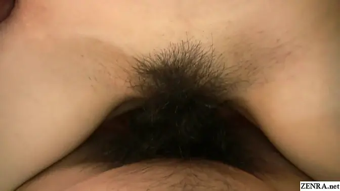 Hairy Japanese babe in POV hardcore sex