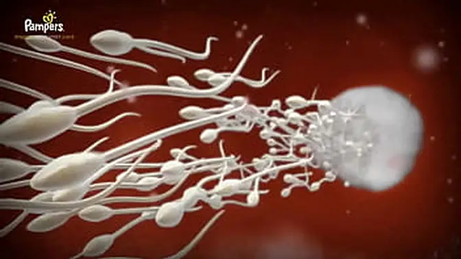 Siblings share hot night with aphrodisiacs