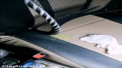 Exotic High School Classmate Gets Seduced & F**ked Hard in Car by Hot Lover