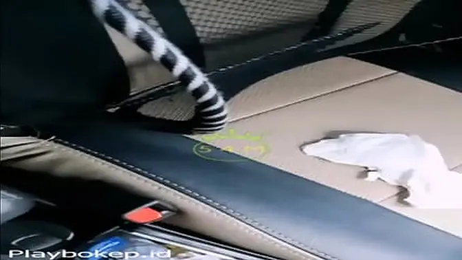 Schoolgirl picked up by her cheating boyfriend for a wild ride in the car