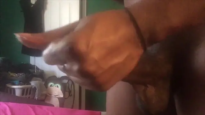 King XecsXtacyX PT 1