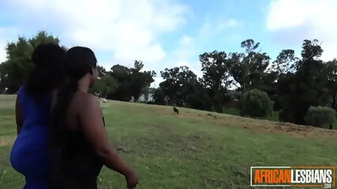 Hidden camera catches black girls fucking in the park