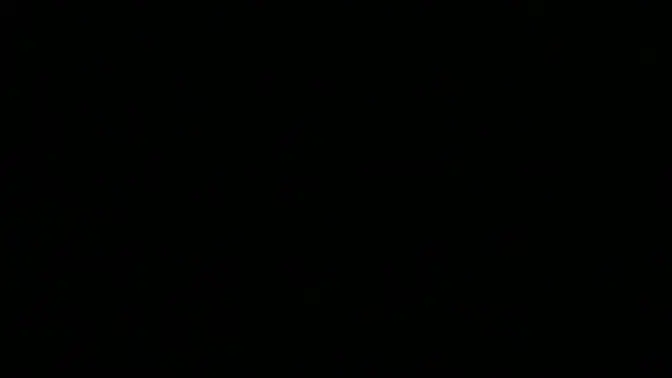 Bi Daciaus in another good adult episode