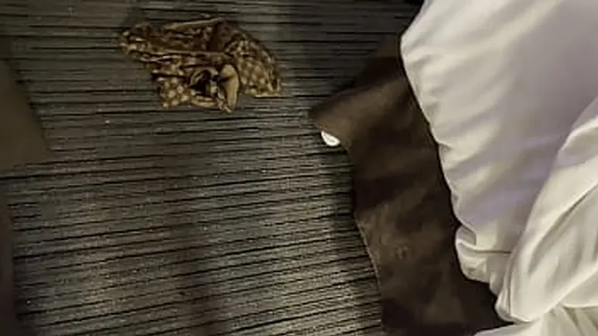 Big white ass fucked hard by Lilmar then he cums inside her during missionary