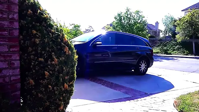 Episode five: International sexy adults find the attractive zone