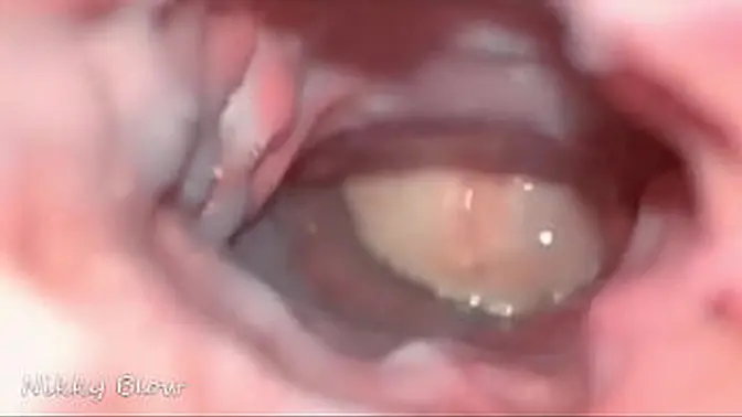 Amateur couple's bareback sex leads to creampie