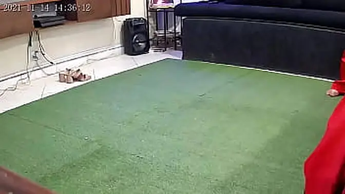 Slutty Whorehole &mdash;  Where Bitches Get Railed and Rough-Fucked Like Animals