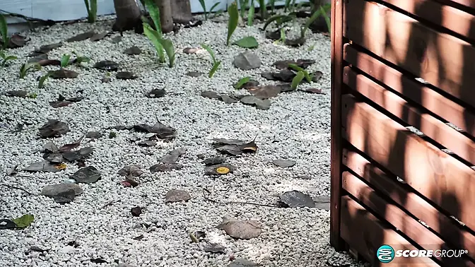 Bum-sexed by her step-son