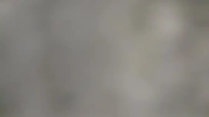 I didn't have money for the taxi