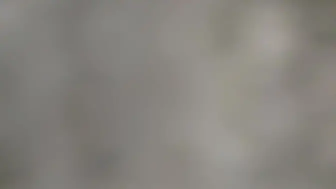 I didn't have money for the taxi