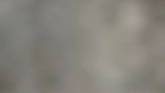 I didn't have money for the taxi