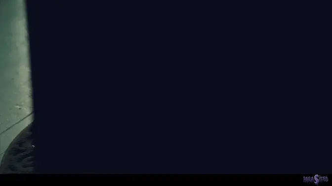 Mysterious Creature Turned Lexi Lore And Melody Marks Carnal