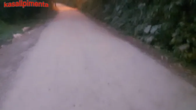 Brazilian teen Latina takes huge cock in her ass on a public road