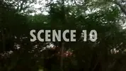 Scene 15