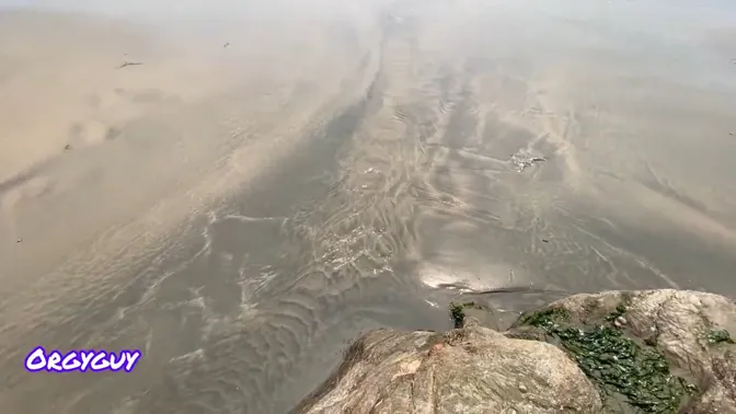 Housewives and Ebony Asses Get Wild at Beach Orgy