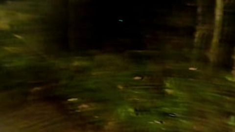 Fernanda Ribeiro gets Fucked Roughly —  First in Woods Then Bath