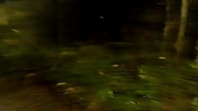 Fucking the skinny girl in the woods then I take her to the bathtub | Fernanda Ribeiro |