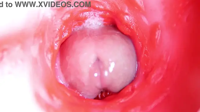 Almost there! Close-up POV of big cock sliding inside a cute pussy